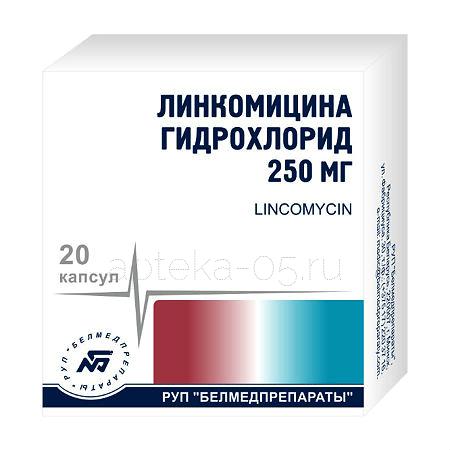 Линкомицина г/х капс 250 мг № 20 (Белмедпр)