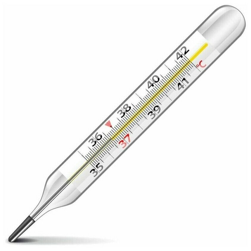 Термометр медицинский в футляре ртутный 0197 (в уп 12 шт)